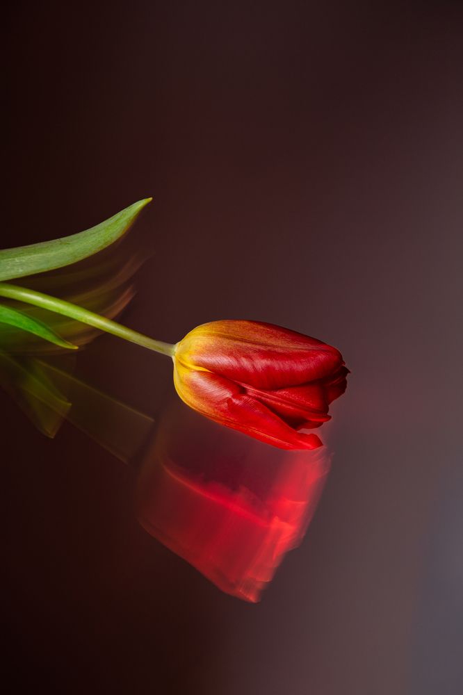 Photograph by Маргарита Кузьмина