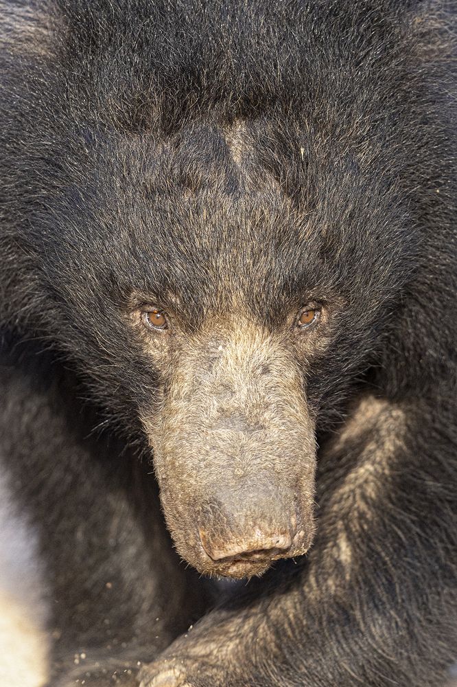 Photograph by Senadheera Danushka