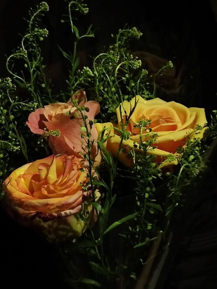 Photograph by Kanat Amre