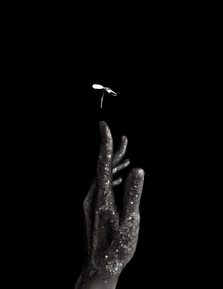 Photograph by Алиса