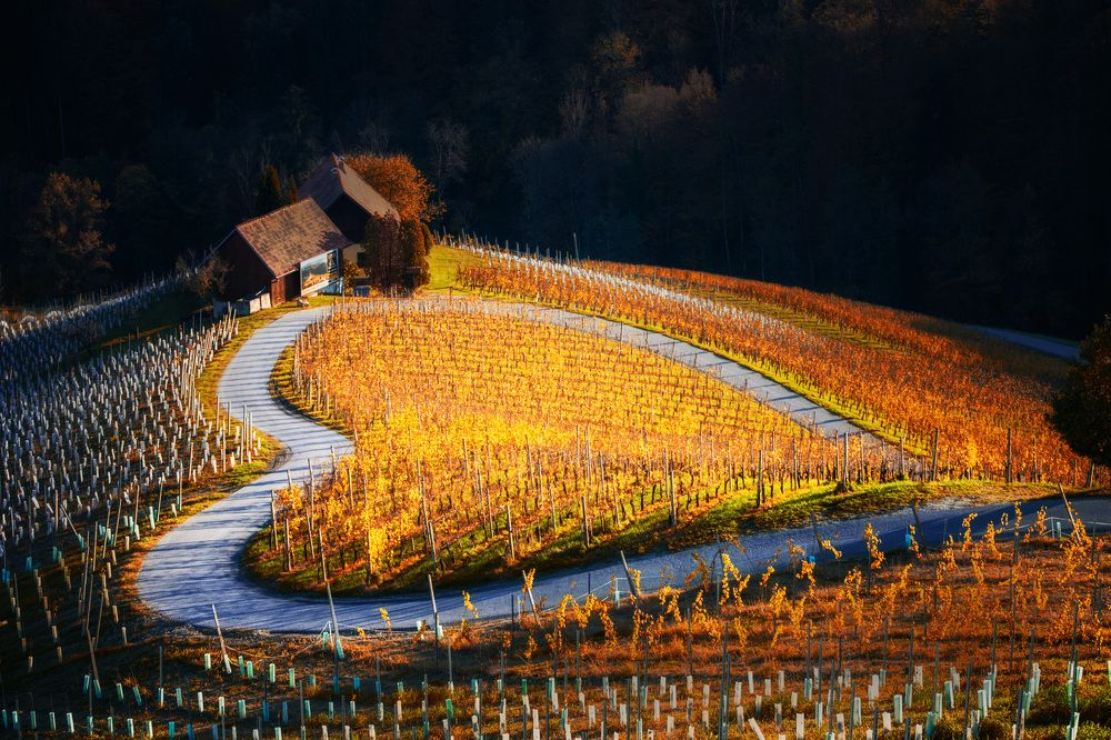 Photograph by Pavlin Georgiev