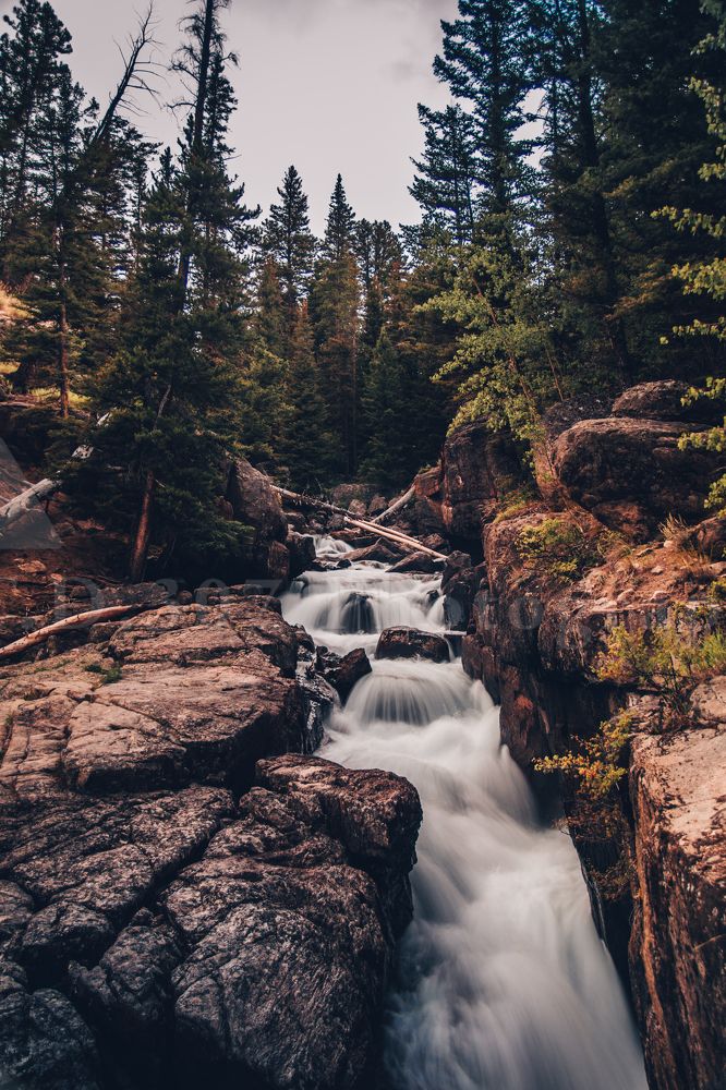 Photograph by Tony Douzenis