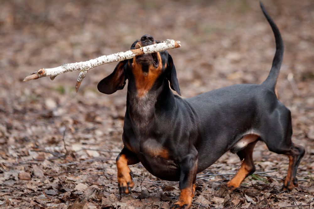 Photograph by Дмитрий Тимин