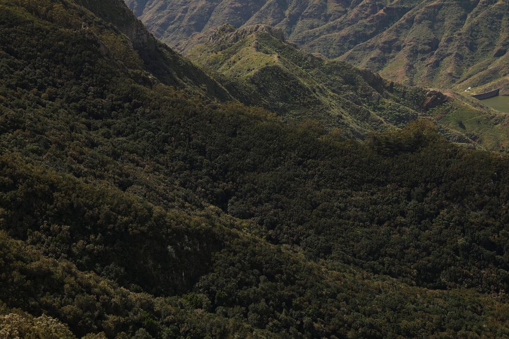 Photograph by Мария Kокоревич