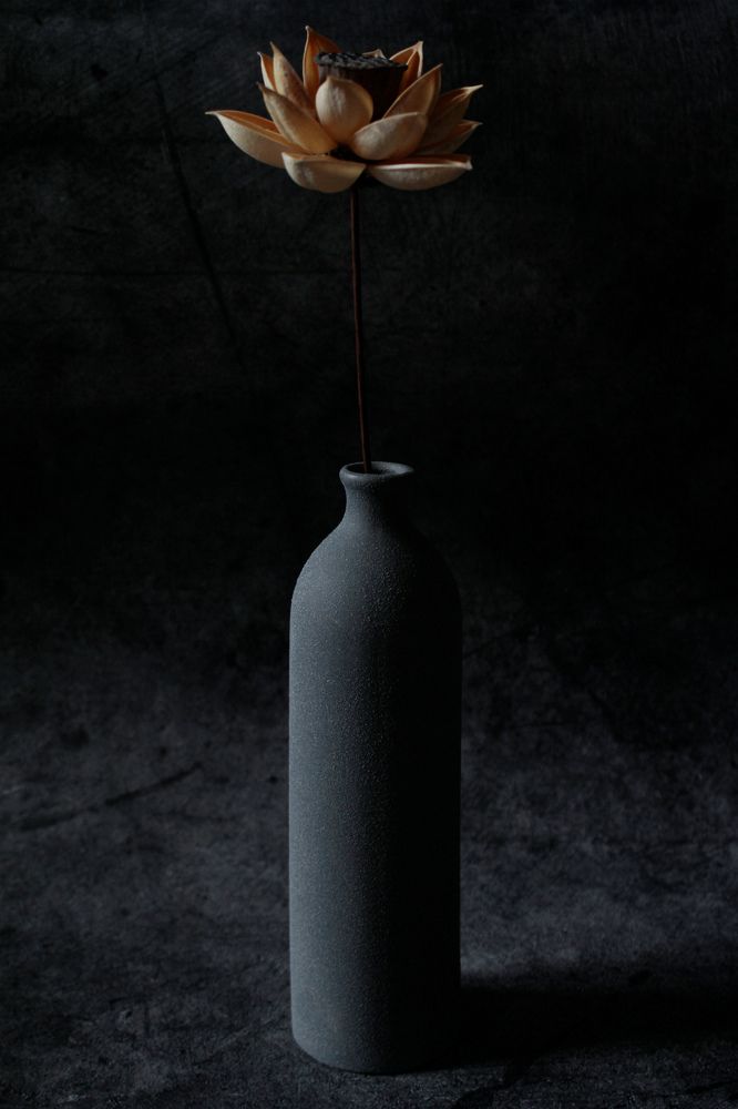 Photograph by Дарья