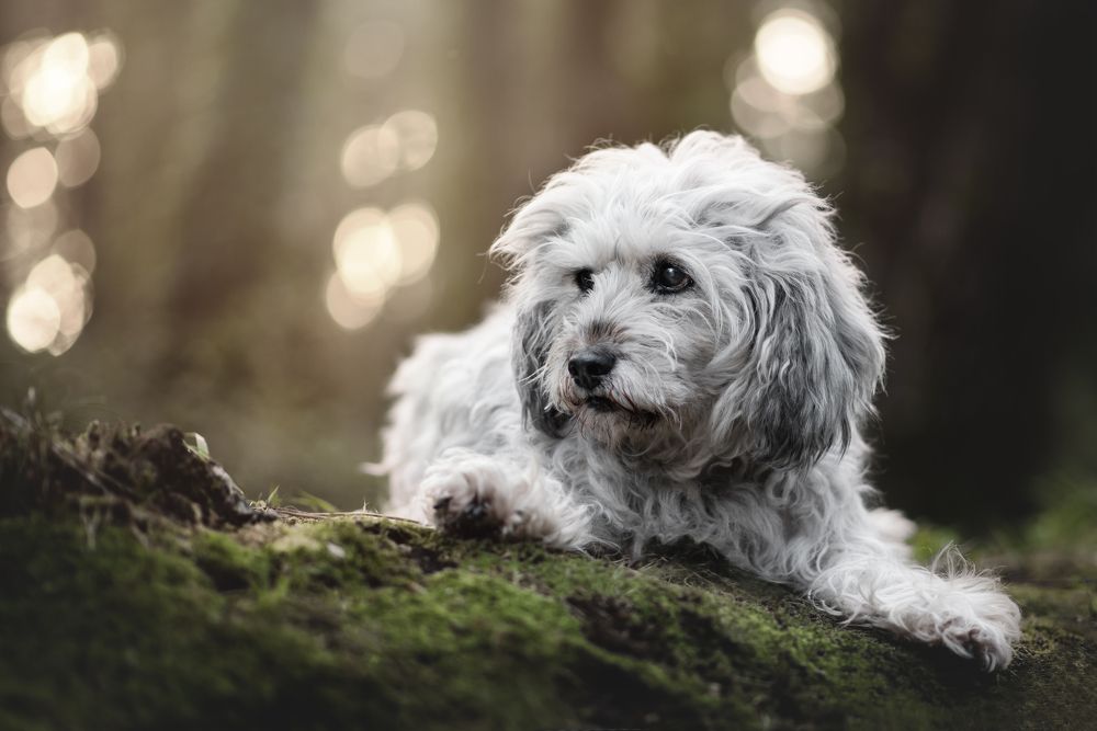 Фотография автора lucia saiz