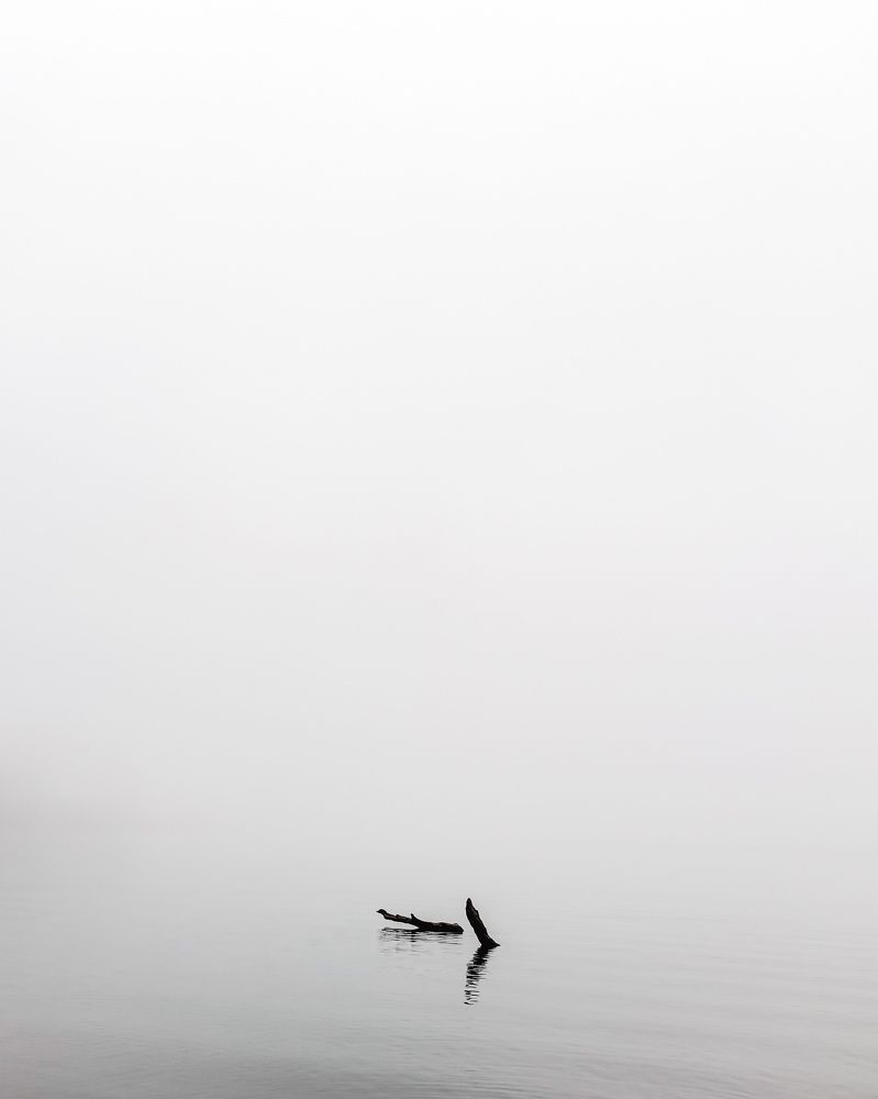 fog on the silent lake