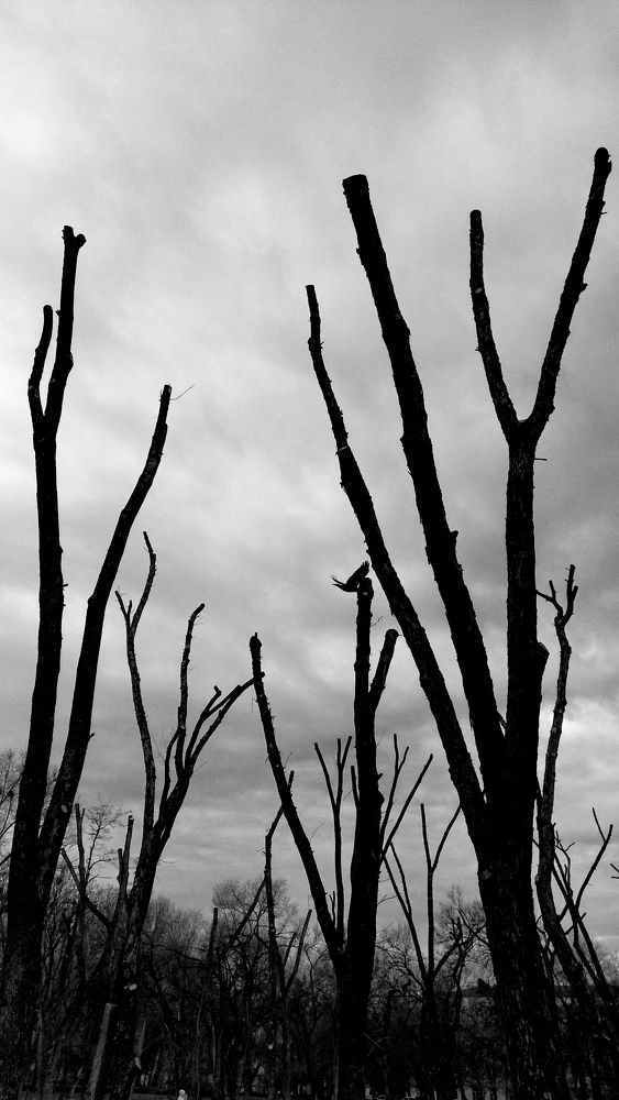 Photograph by Олеся Белова