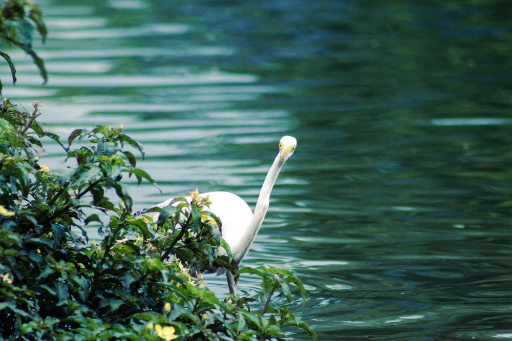 Photograph by Carolina Rodrigues