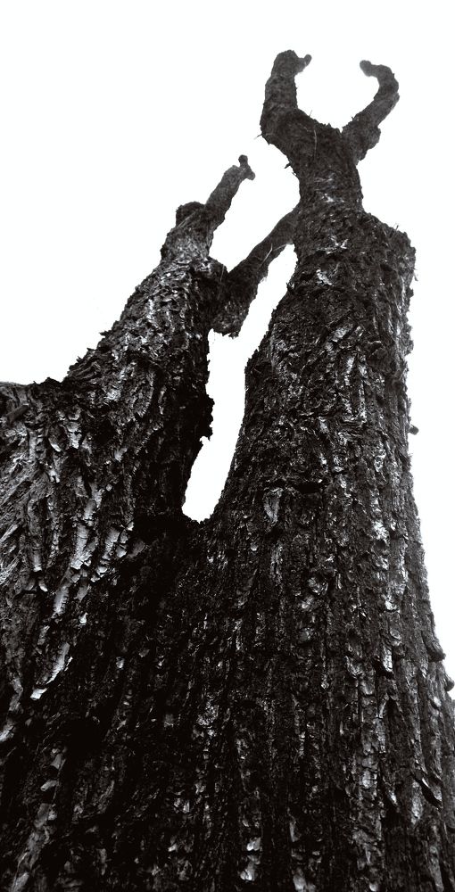 Photograph by Олеся Белова