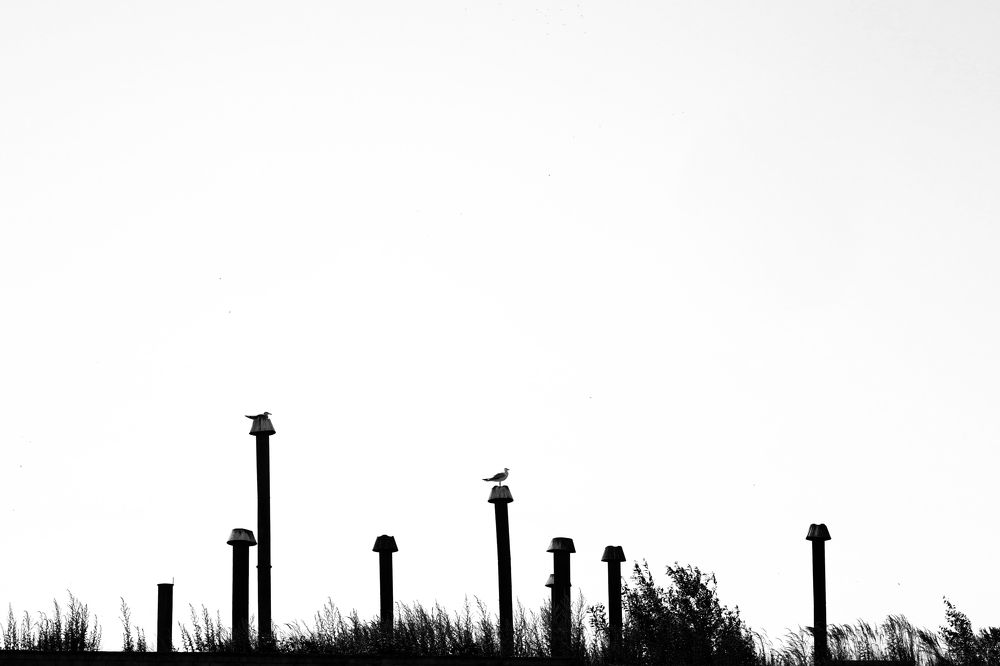 Photograph by Родион