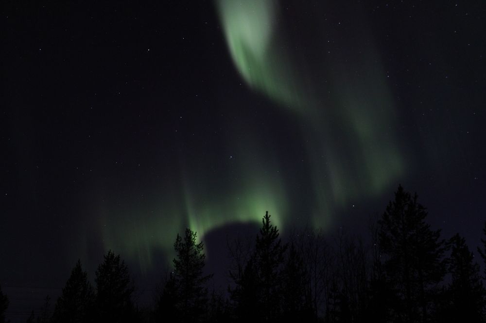 Photograph by Полина Зайцева