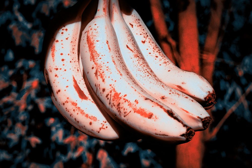 blood mutant bananas