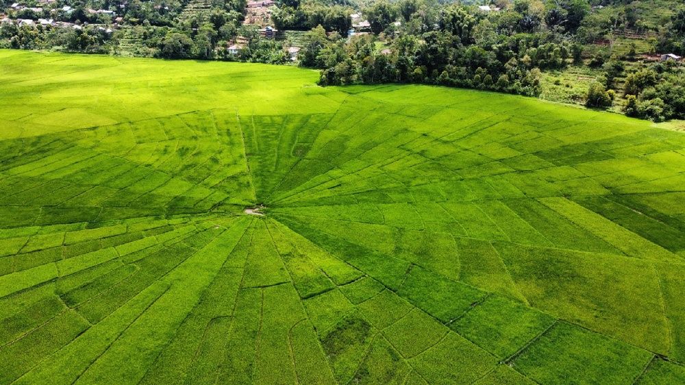 Photograph by Yafet Prayogo