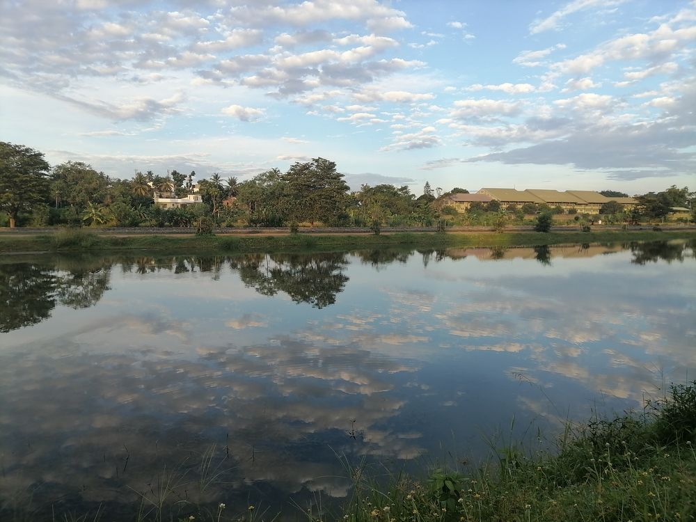 Photo #9050674