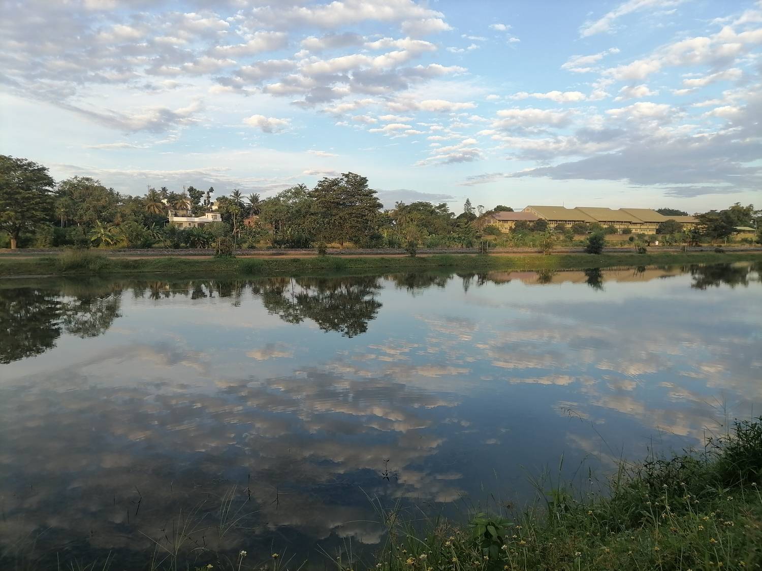 Photo #9050674