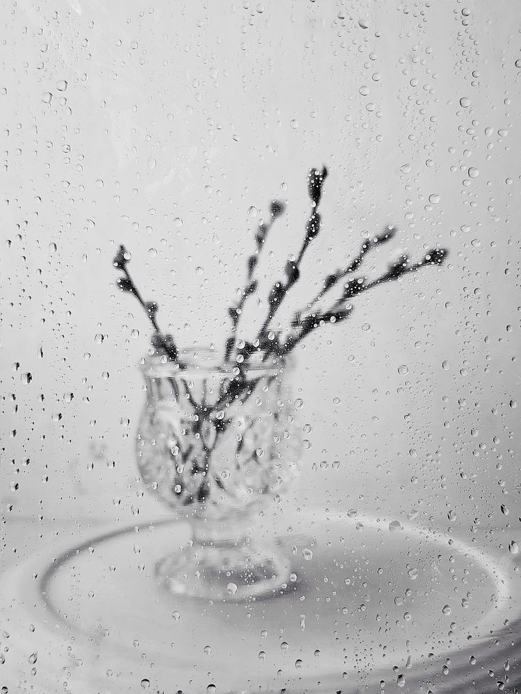 Photograph by Ольга