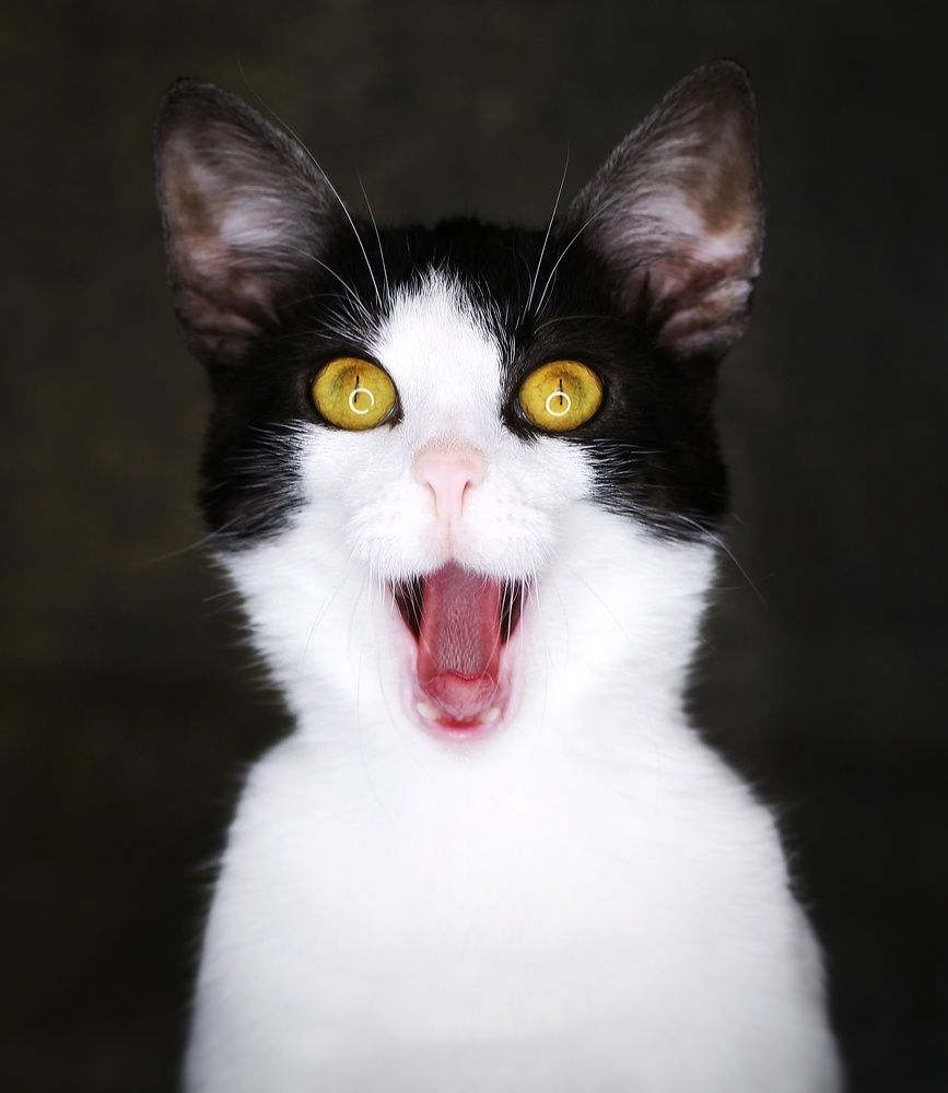 Photograph by Евгений Белов