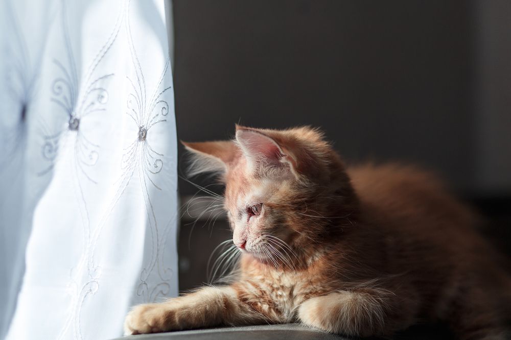 Photograph by Юлия Василюк