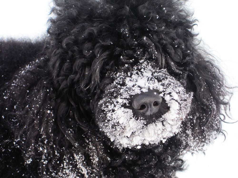 Photograph by Константин Лагоденко