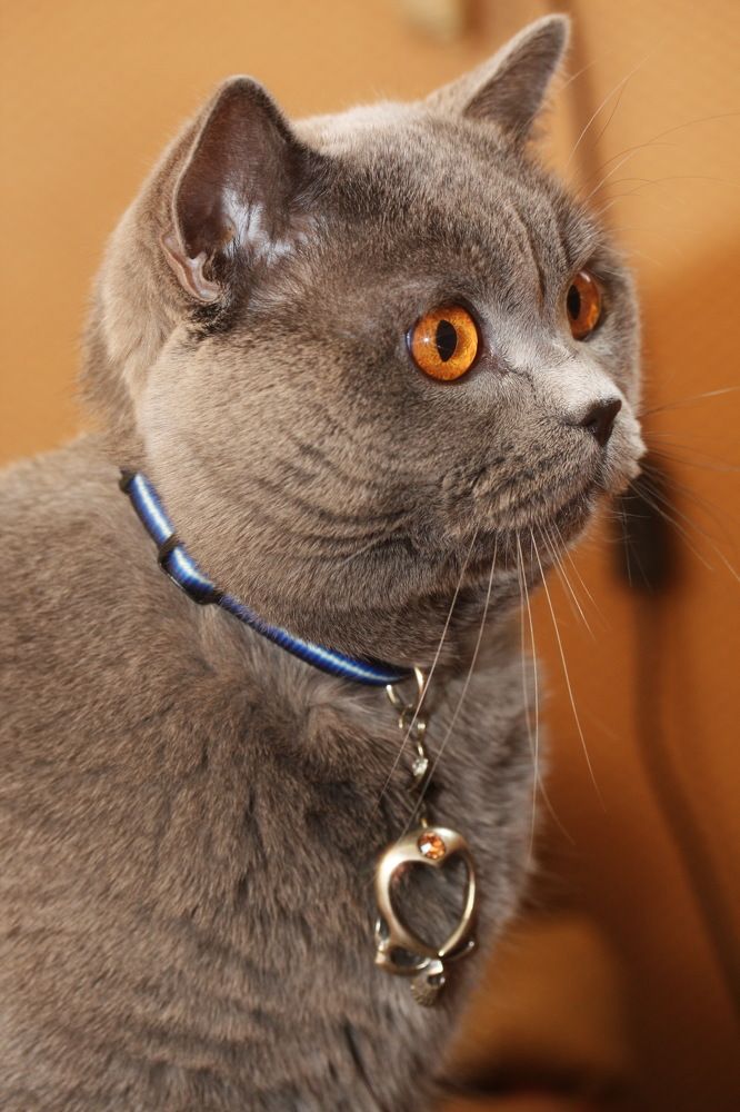 Photograph by Константин Лагоденко