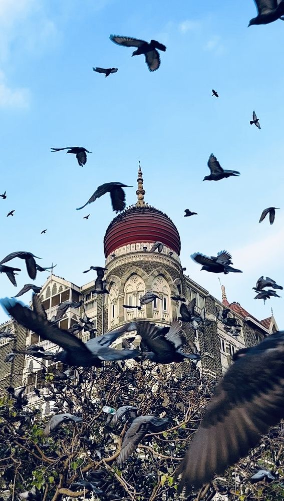 Photograph by Faseeh