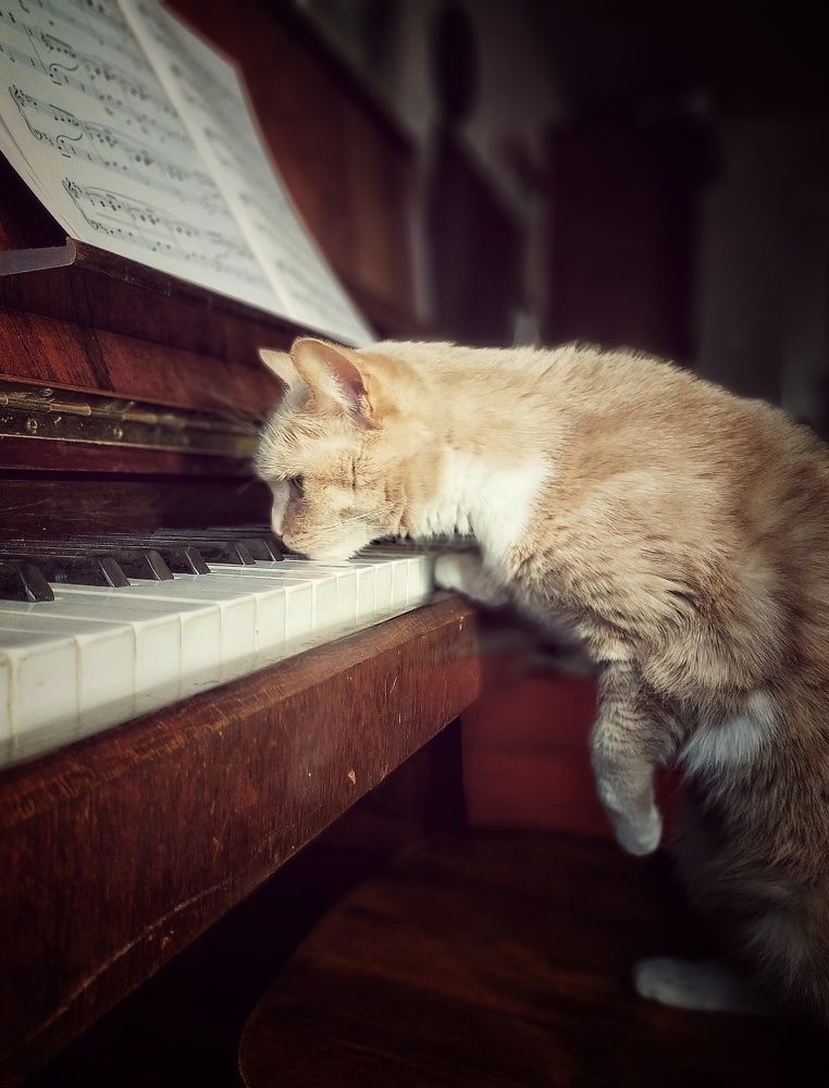 Photograph by Ольга Мартьянова