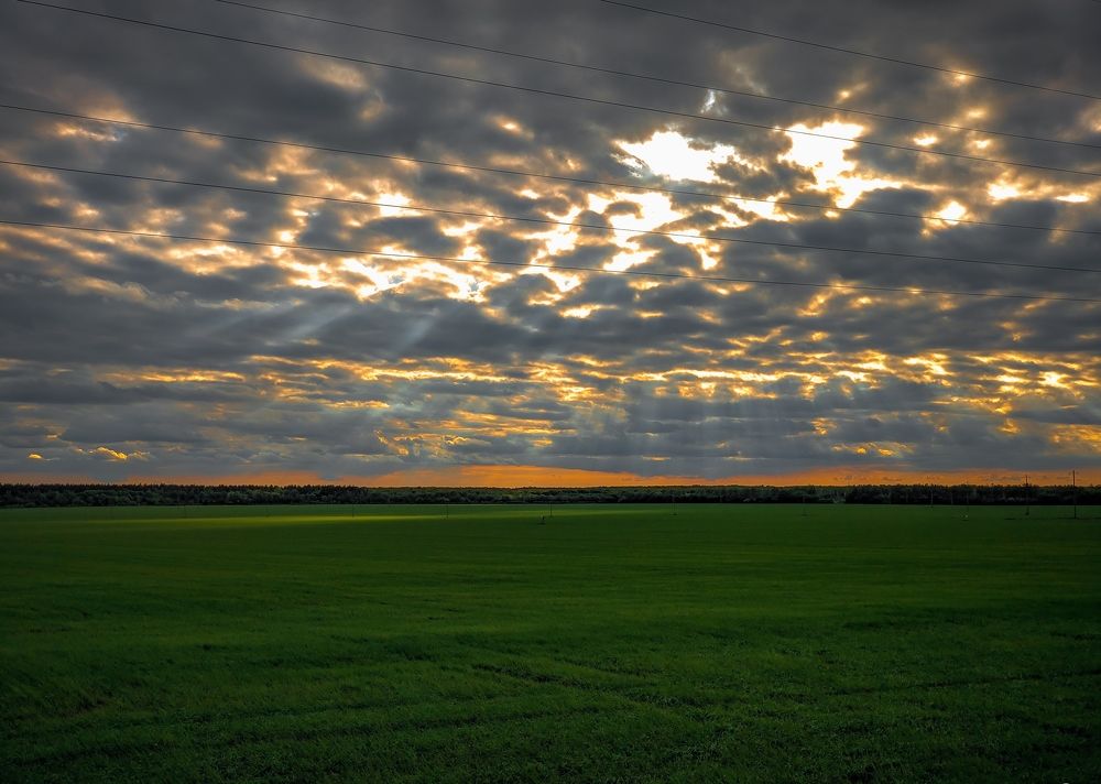 Photograph by Владимир Фролов