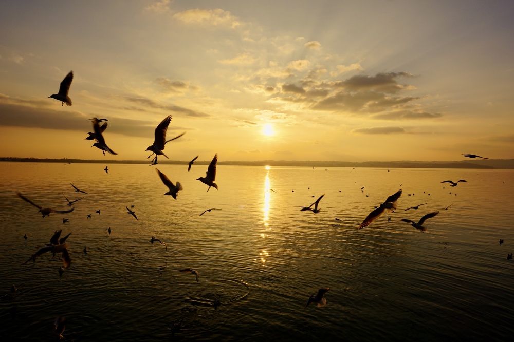 Фотография автора Liudmila Kiermeier