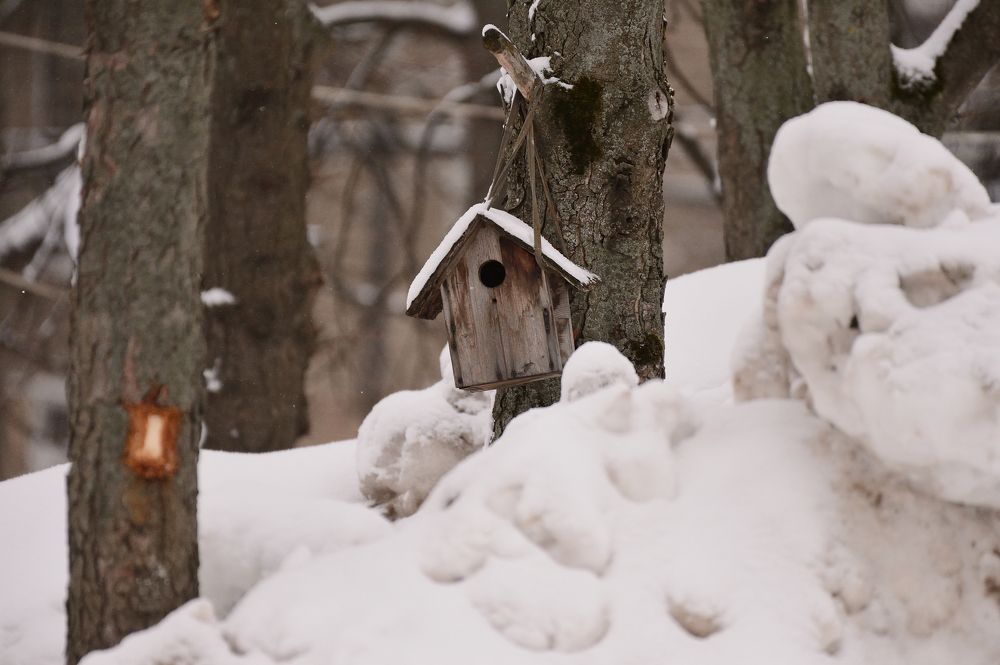 Photograph by Семен Батов