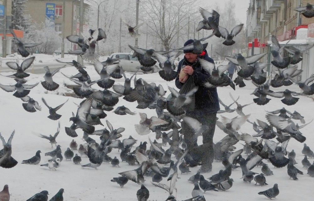 Photograph by Александр Подгорный