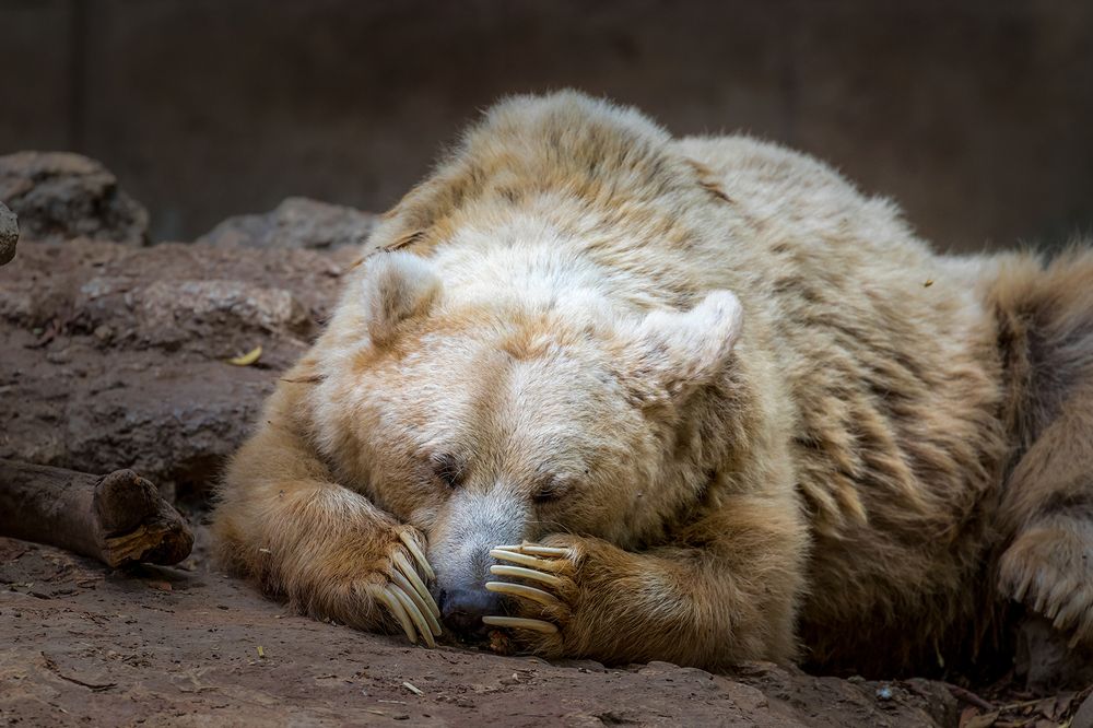 Фотография автора Nikolay Tatarchuk