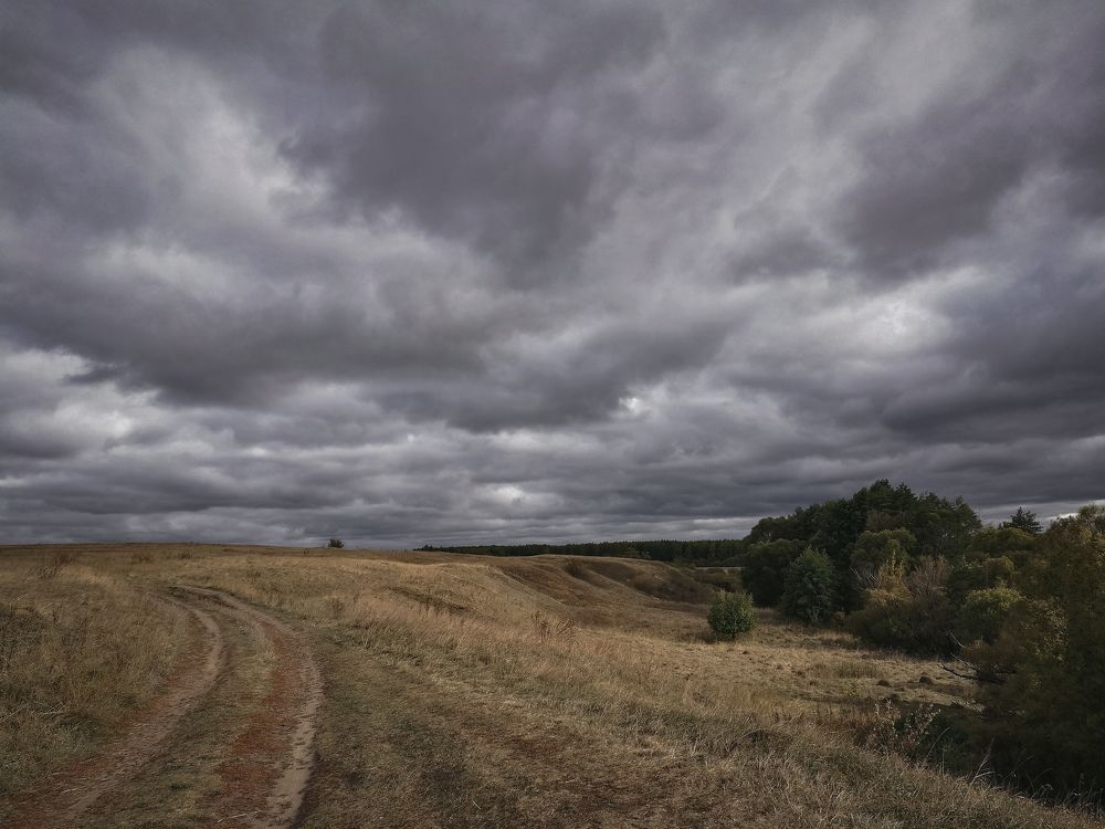 Photograph by Владимир Фролов