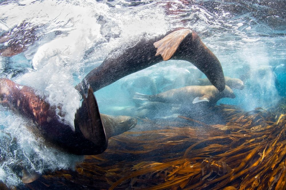 Фотография автора Нарчук Андрей