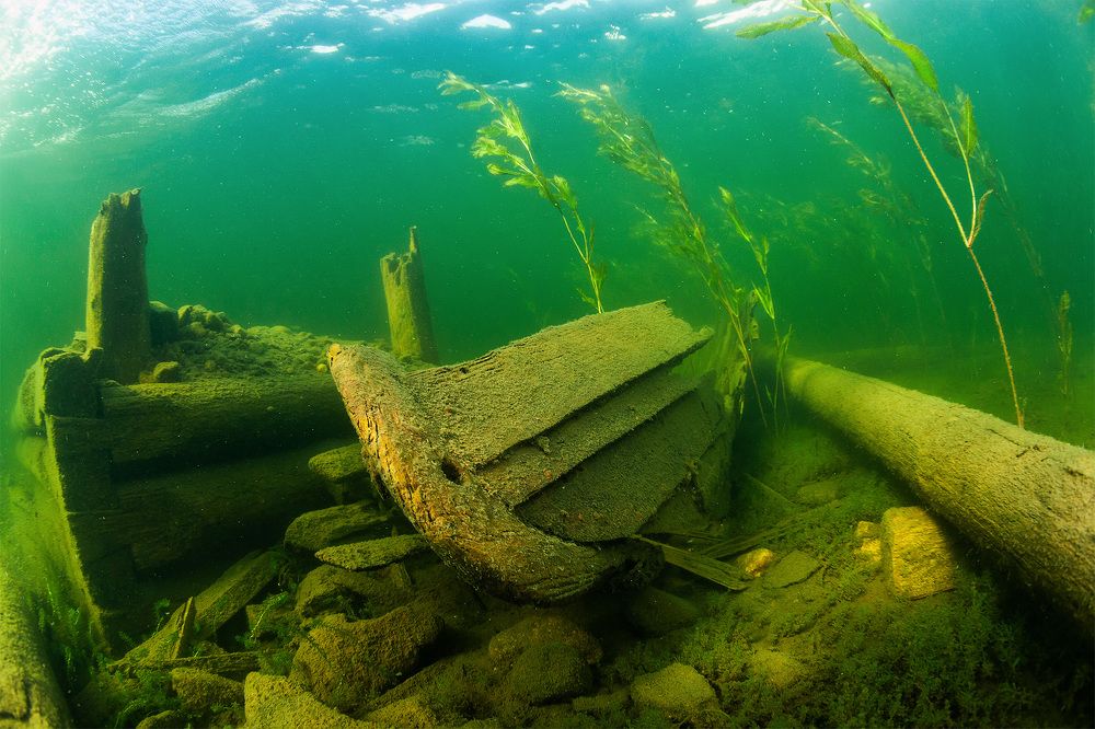 Photograph by Нарчук Андрей