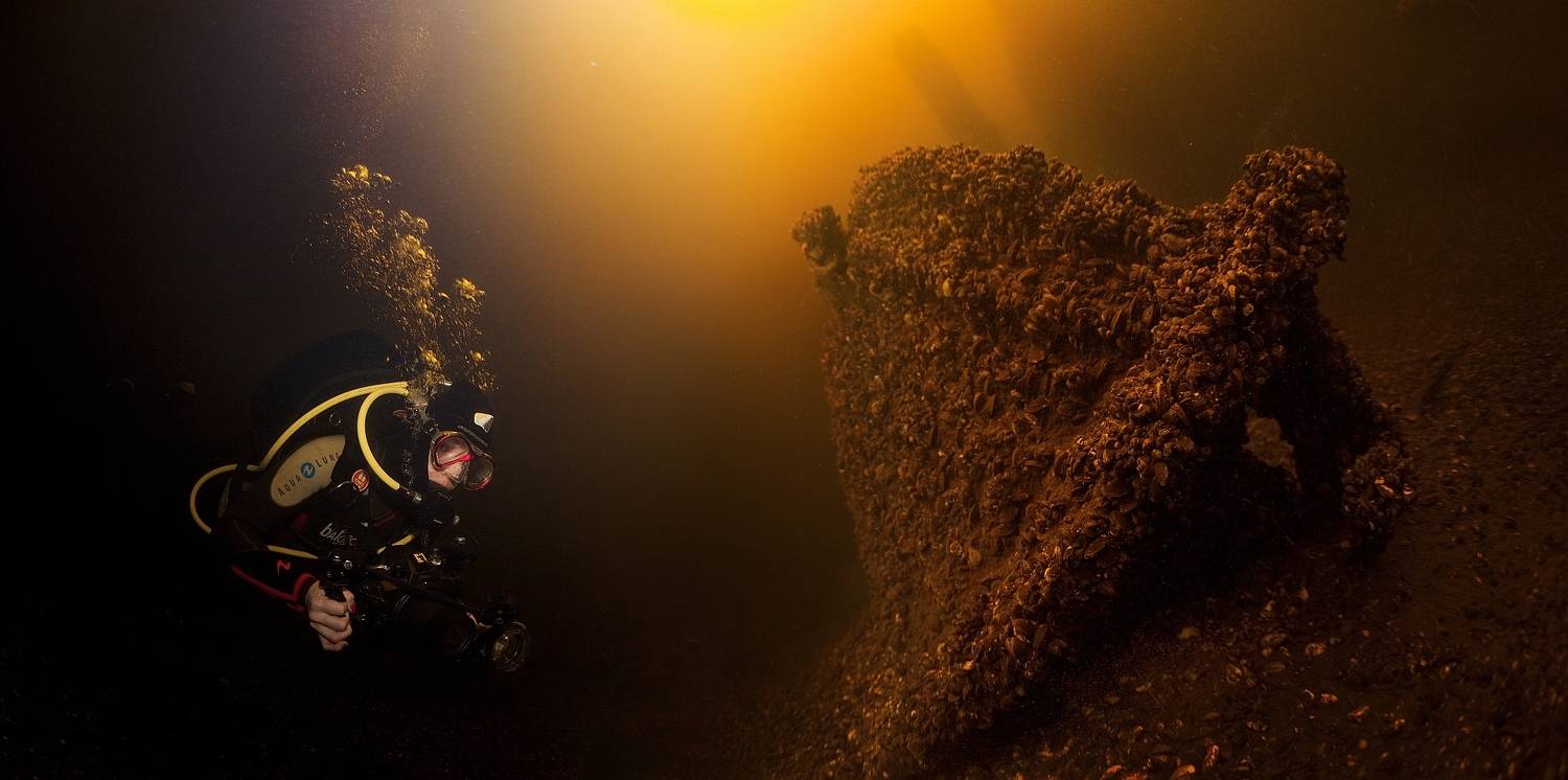 Фотография #9051022