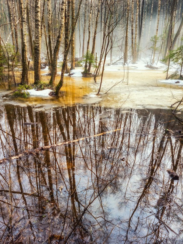 Photograph by Сергей Пестерев