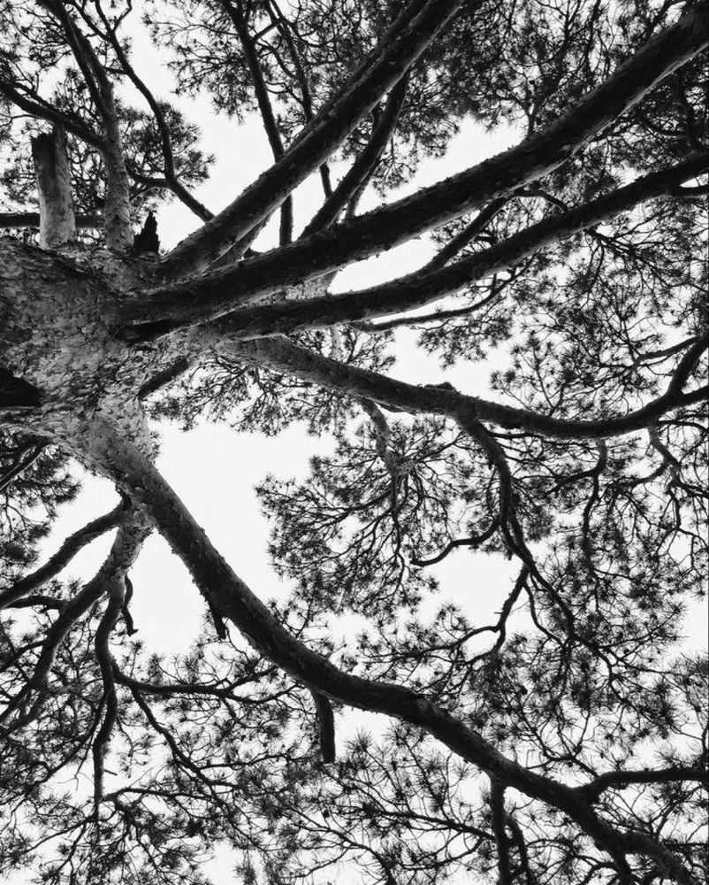 Photograph by Полина Федорович