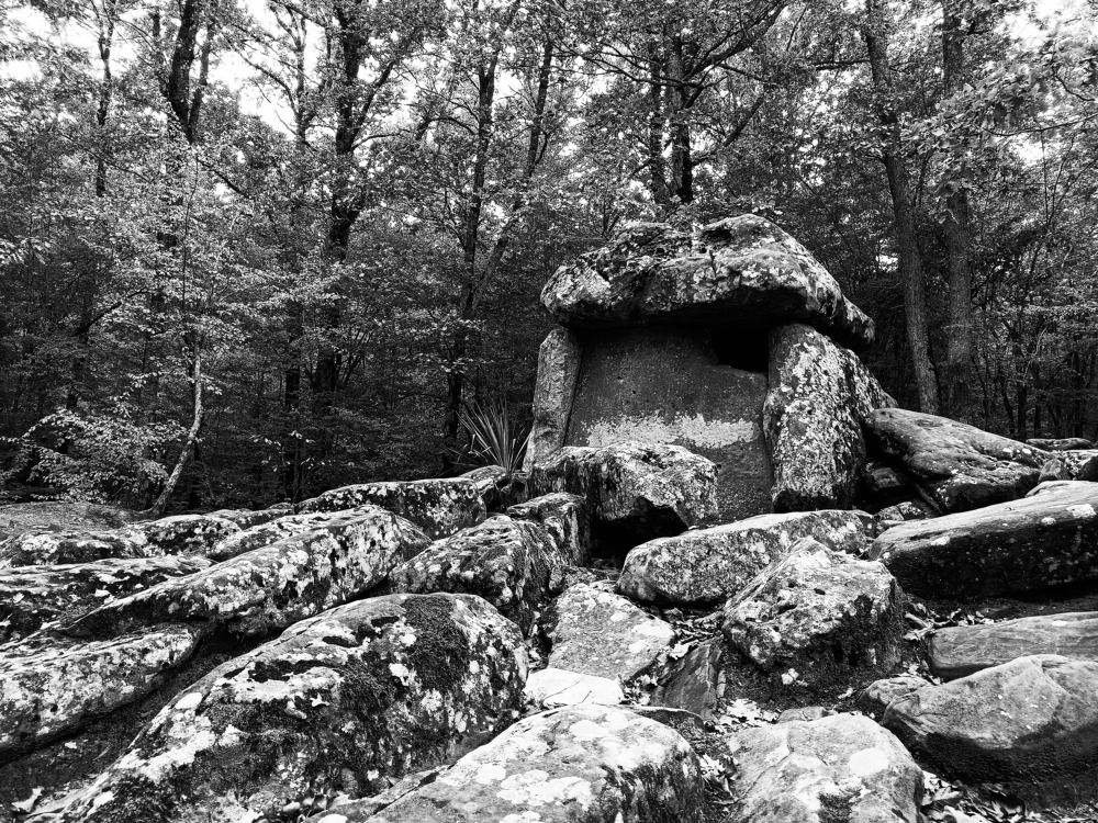 Photograph by Олег Башкуров