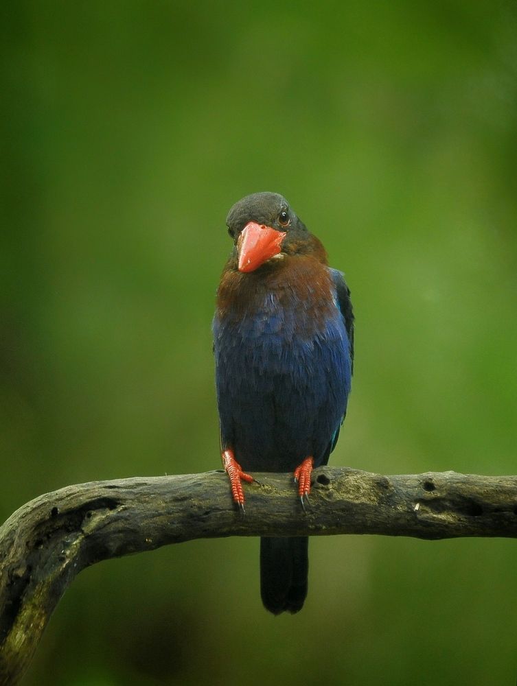 Photograph by Ines Wasi