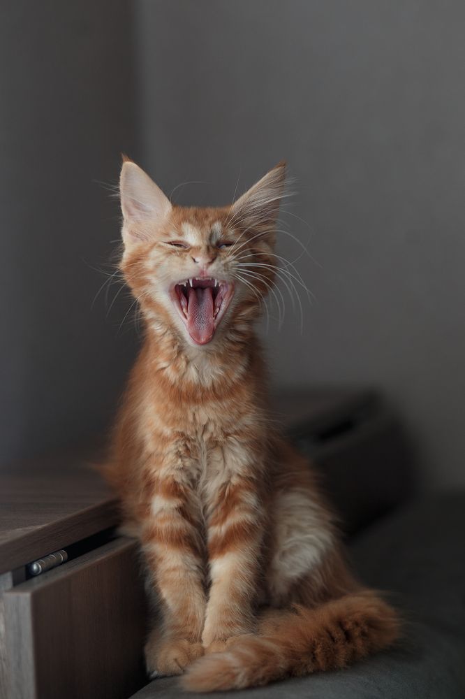 Photograph by Юлия Василюк