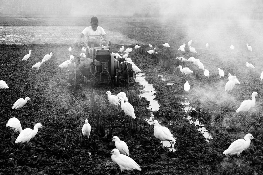 Photograph by Asamanj Maiti