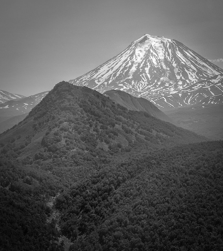 Photo #9051247