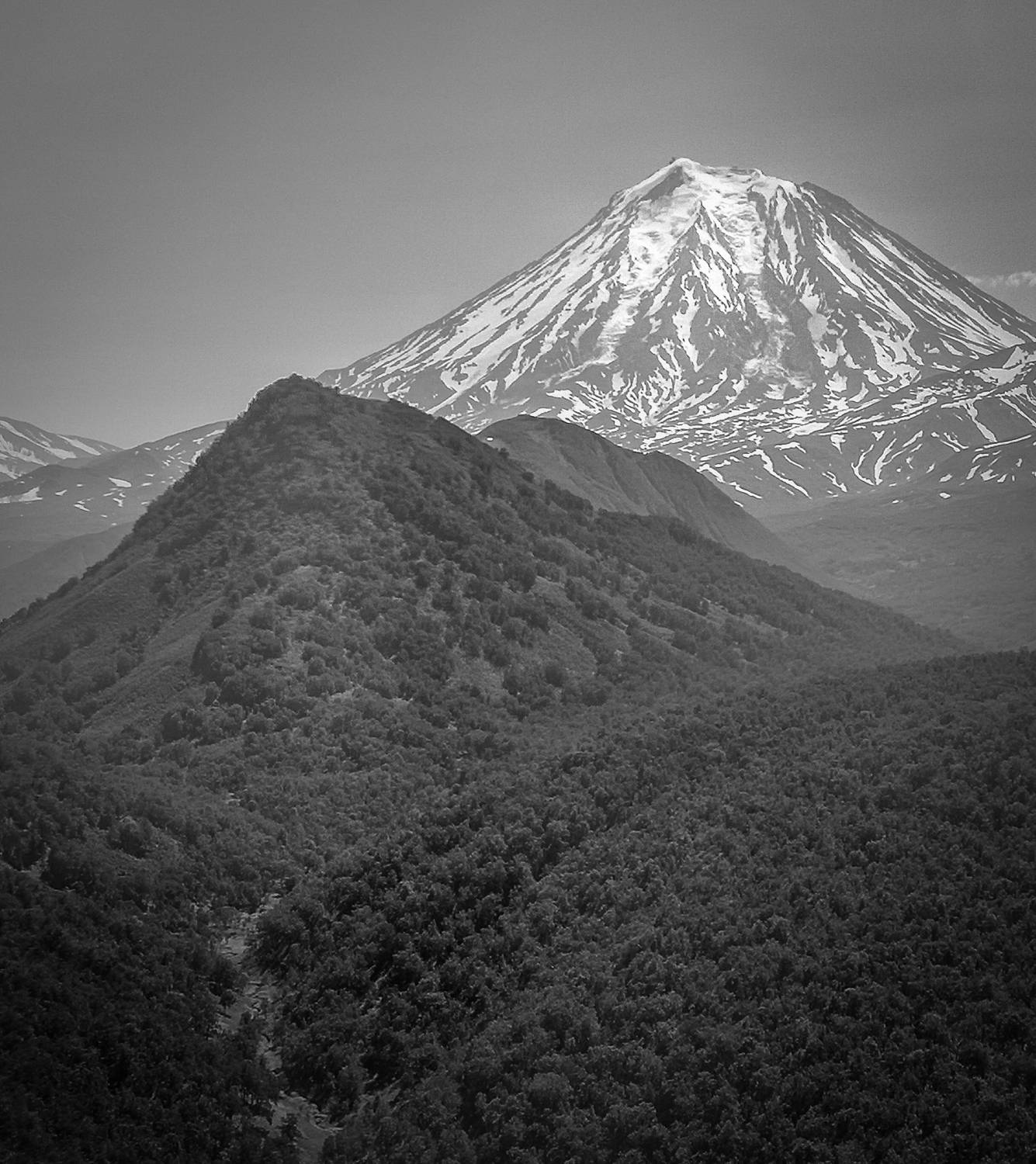 Photo #9051247