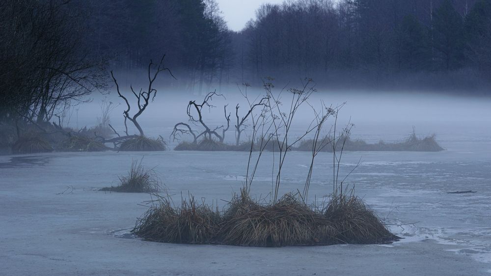 Photograph by Valdis Serzhans