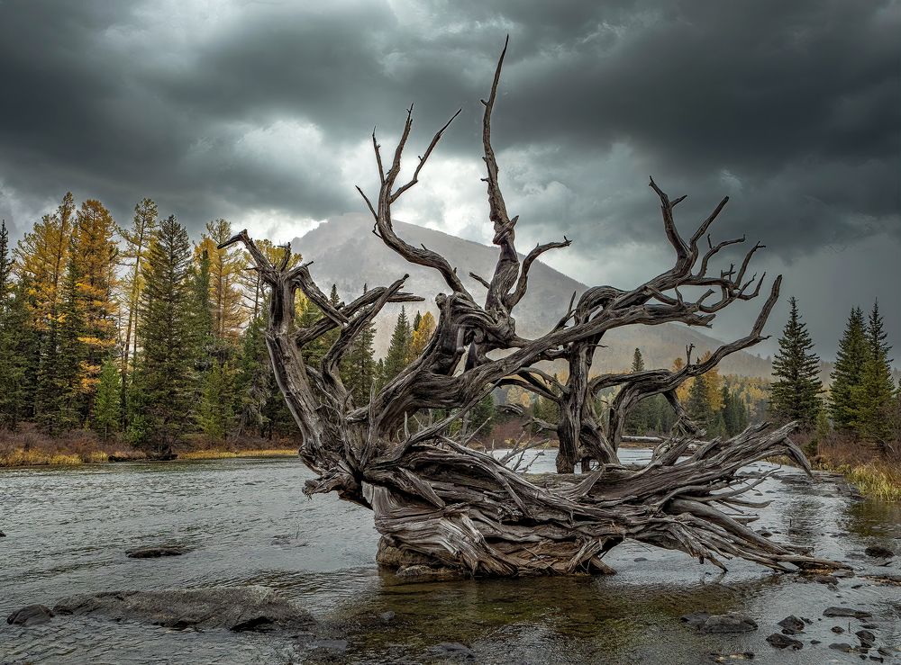 Photograph by Юрий Чернов