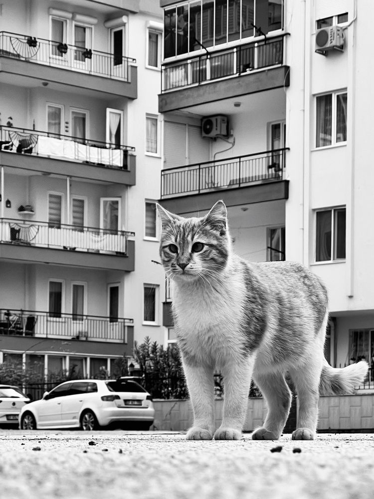 Photograph by Алиса