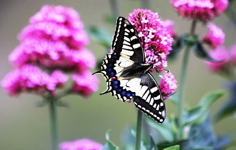 Photograph by Nadzeya