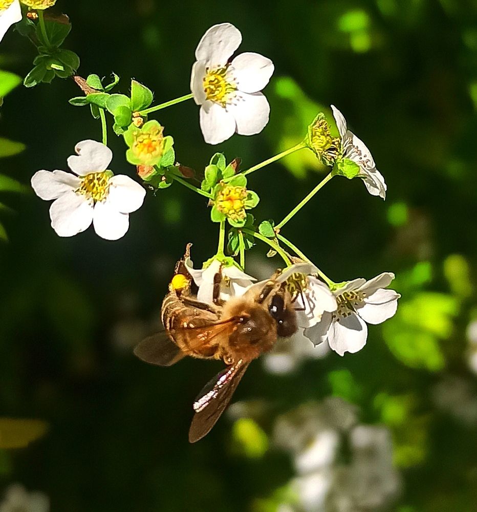 Photograph by Ольга Тихонова
