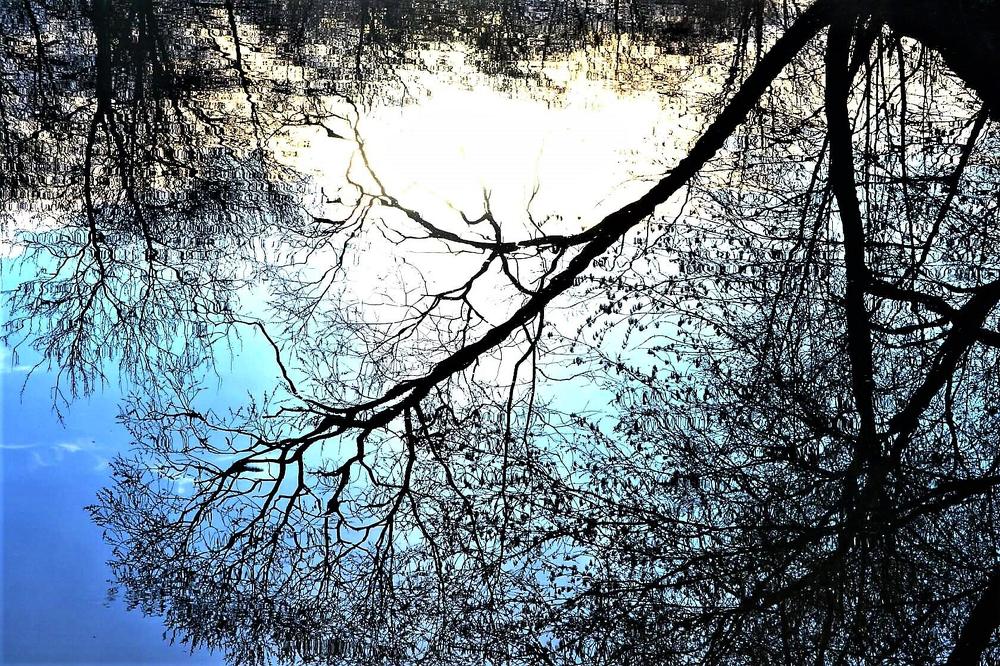 Photograph by Шевченко Алексей